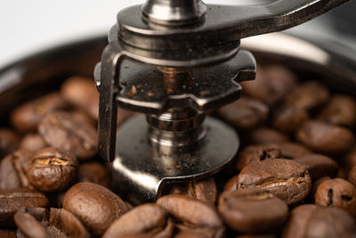 Close-up of coffee beans