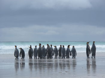 People by sea against sky