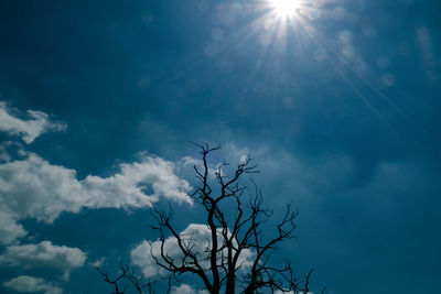 Low angle view of silhouette tree against blue sky