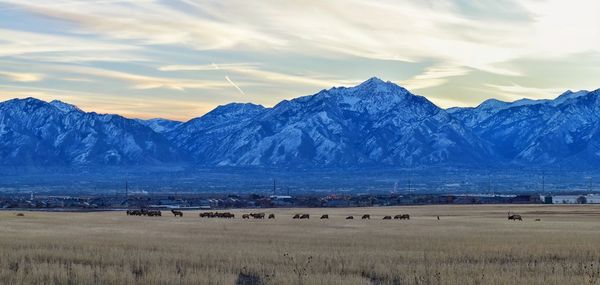 Scenic view of snowcapped mountains against sky