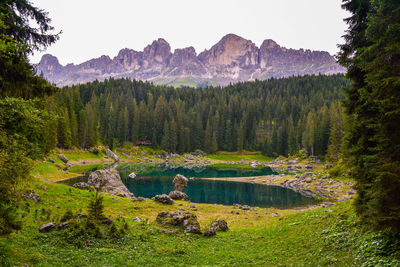 Scenic view of carezza's lake and trees against sky