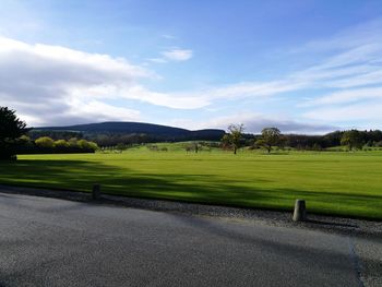 Scenic view of sunny field