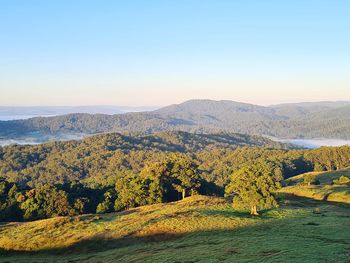 Scenic view of landscape against clear sky