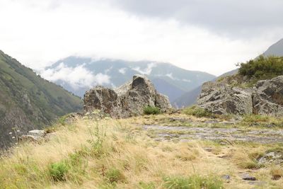 Scenic view of landscape against sky