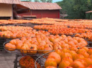 Various fruits for sale in market