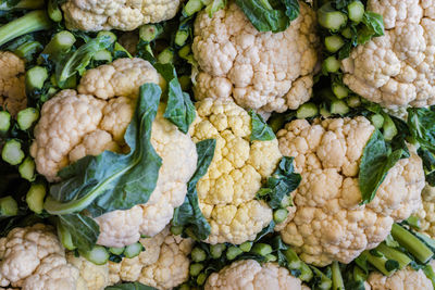 Fresh organic cauliflower from farm close up from different angle