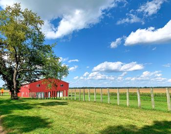 Scenic view of agricultural field against sky