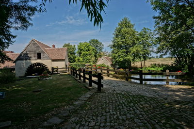 Footpath amidst trees and buildings against sky
