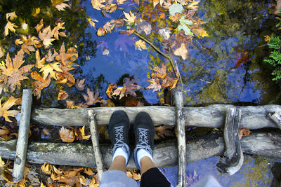 Low section of person standing on fallen tree trunks over lake in forest