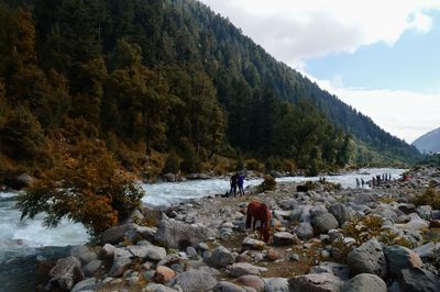 People on rocks by river against sky