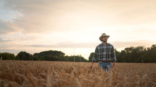 Farmer touching wheat crop ears to control a quality in grain field