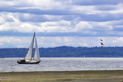 Sailboat in sea against cloudy sky