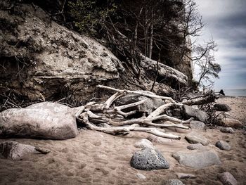 Rocks on beach against sky