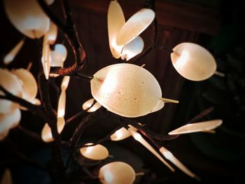 Close-up of lamp