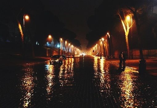 illuminated, night, street light, street, lighting equipment, the way forward, wet, transportation, built structure, water, architecture, city, building exterior, reflection, diminishing perspective, road, sidewalk, incidental people, light - natural phenomenon, car