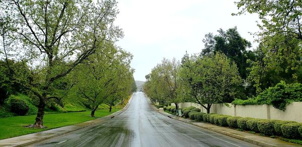 Empty road amidst trees against sky