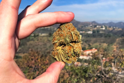 Close-up of hand holding marijuana against mountain