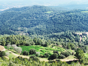 High angle view of trees on landscape