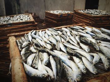 High angle view of fish on crate