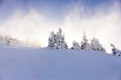 Scenic view of snow covered landscape against sky