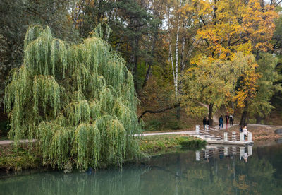 Scenic view of lake in forest during autumn