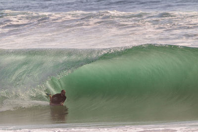 Man surfing in water