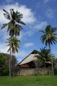 Palm trees by building against sky