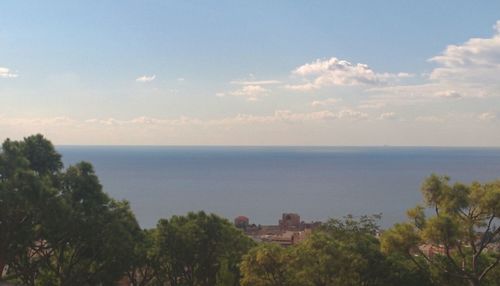 Scenic view of sea and trees against sky