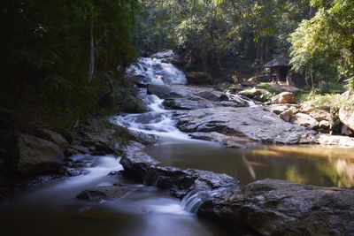 Stream flowing through rocks in forest