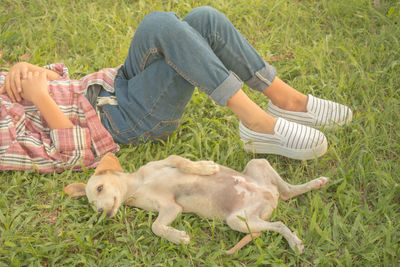 Low section of woman with dog sitting on grass
