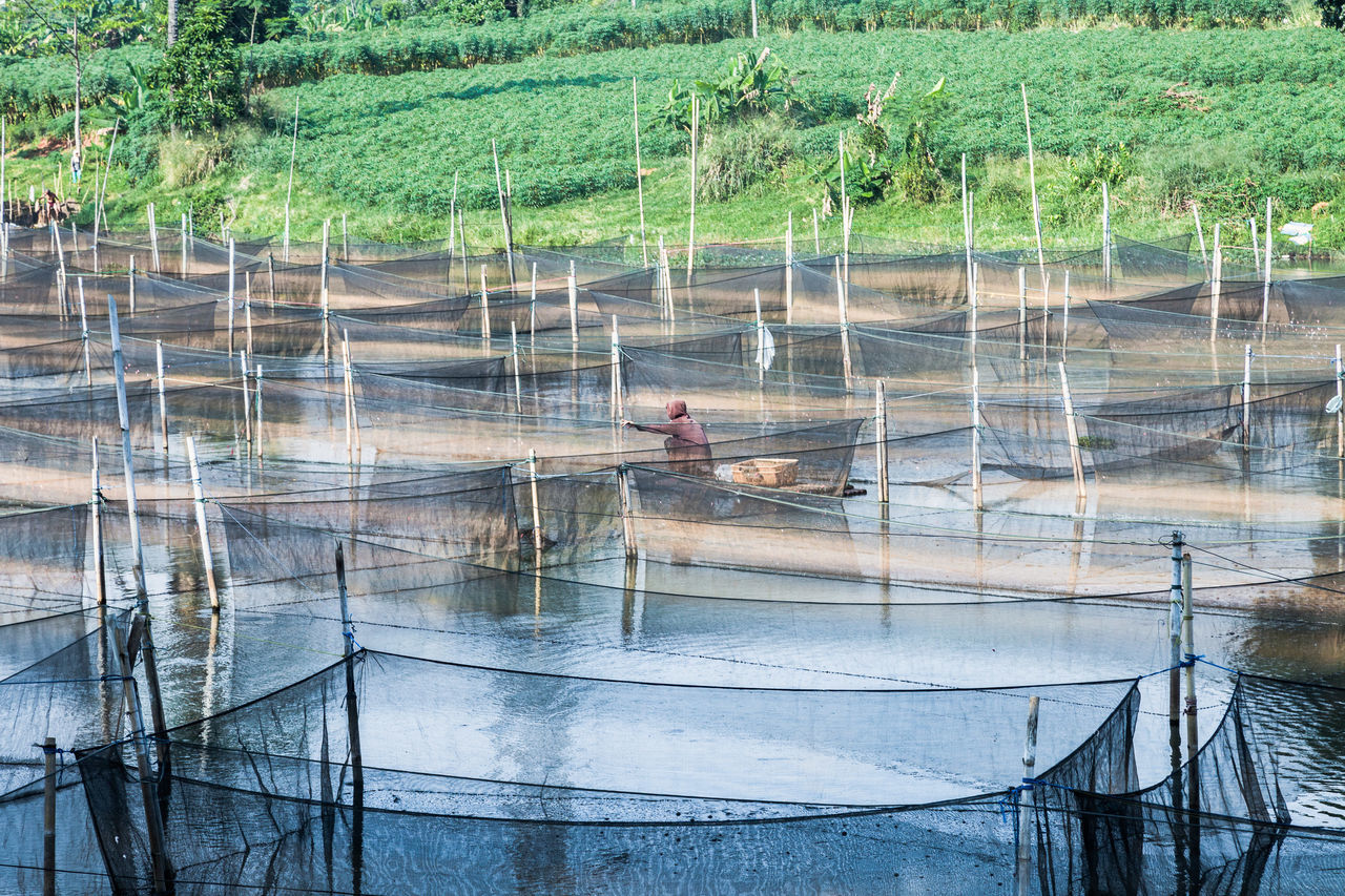 REFLECTION OF MAN STANDING ON GLASS