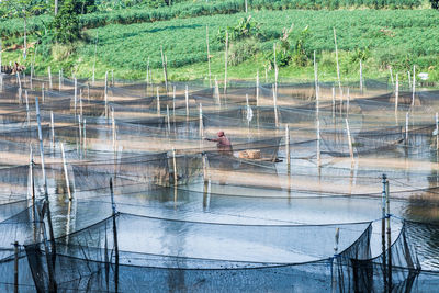 Reflection of man in water