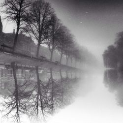 Reflection of bare trees in water