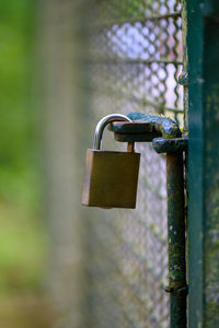 Close-up of padlocks on fence