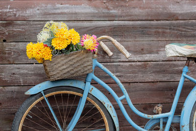 View of flowering plant in basket on wall