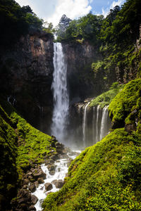 Scenic view of waterfall in forest