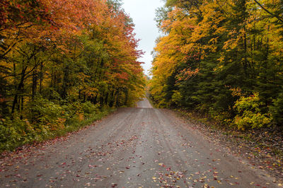 Road amidst trees in forest during autumn