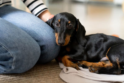 Midsection of woman with dog