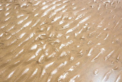 Full frame shot of wet sand