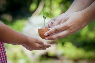 Close-up of hand holding baby outdoors