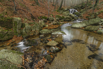 Stream flowing through rocks in forest