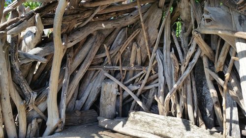 Close-up of wood