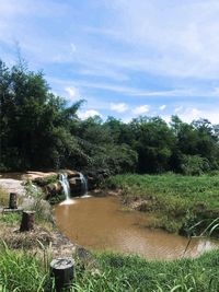 Scenic view of river amidst trees against sky