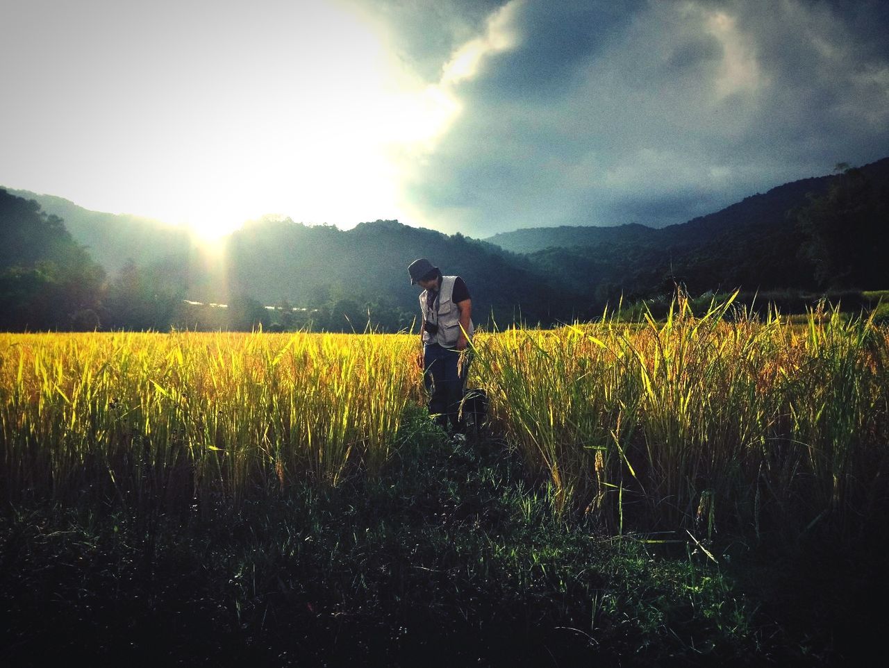 land, field, beauty in nature, sky, plant, scenics - nature, landscape, real people, nature, one person, standing, environment, tranquil scene, tranquility, growth, mountain, three quarter length, cloud - sky, rural scene, agriculture, outdoors, lens flare