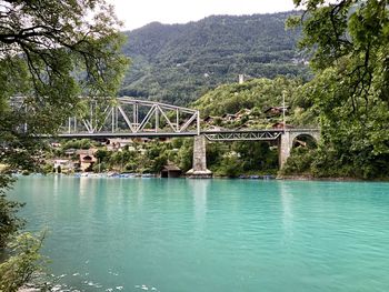 Bridge over river in forest
