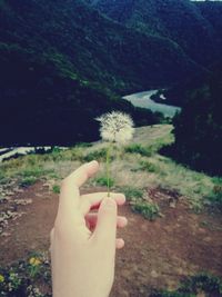 Close-up of hand holding dandelion against sky