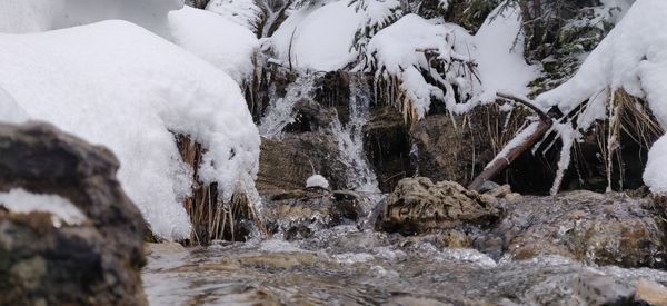 Snow covered rocks and trees during winter