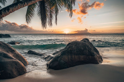 Scenic view of sea during sunset