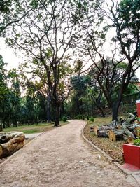 Footpath in park