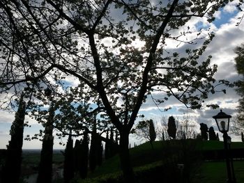 Bare trees against cloudy sky